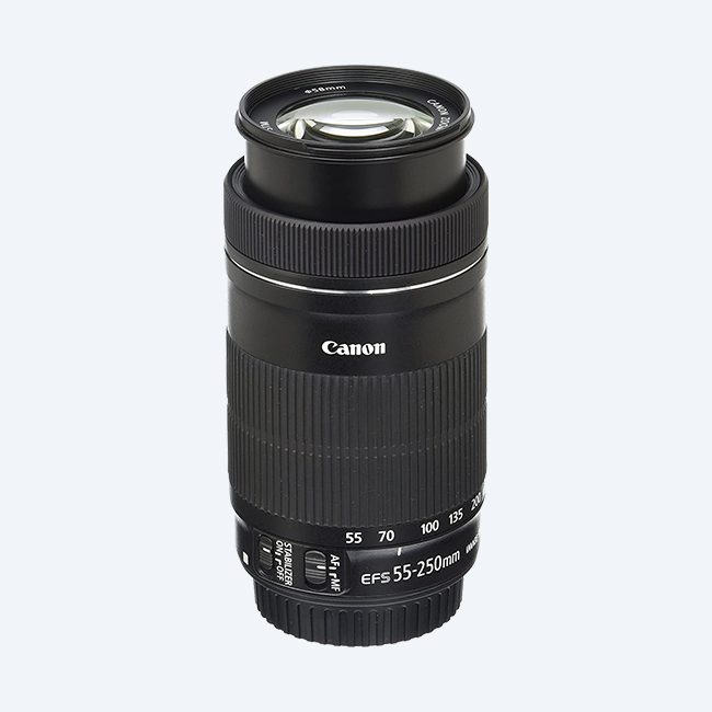 Canon EF-S 55-250mm f4-5.6 IS STM Telephoto Zoom Lens