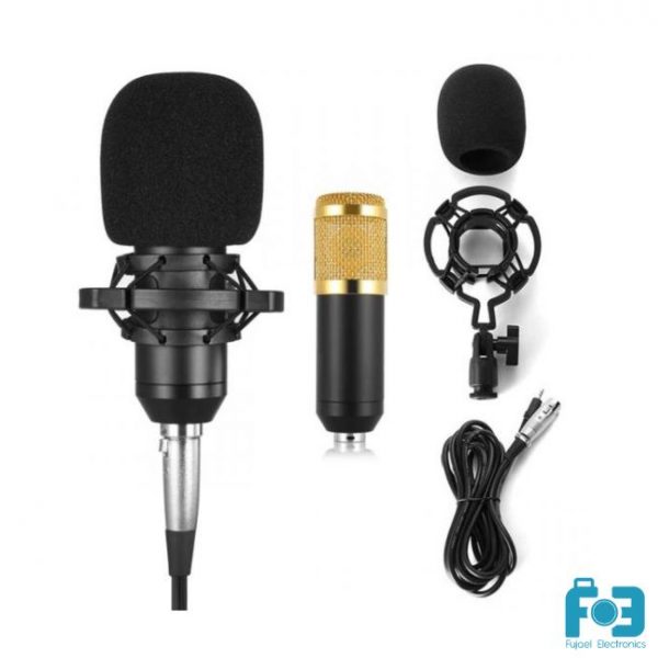 BM-800 Professional Condenser Microphone