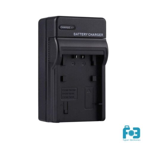 Â Sony NP-FV100 Charger